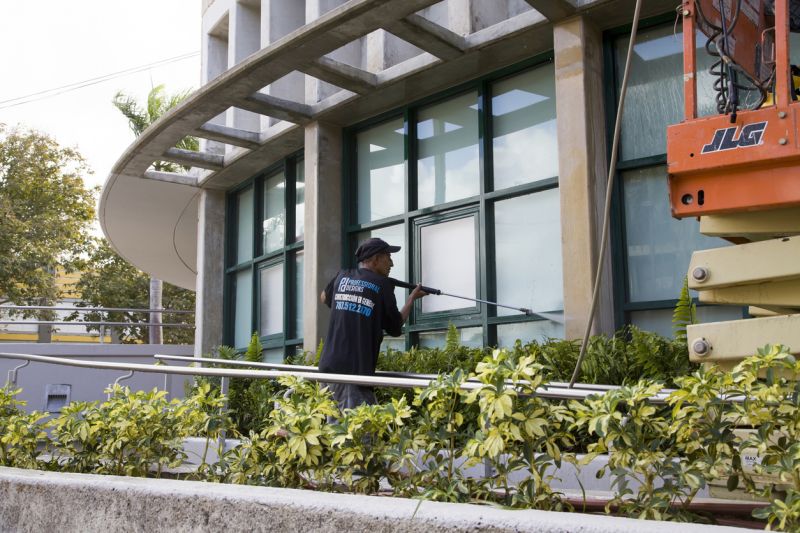 Professional Cleaning Techniques